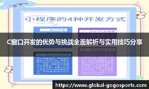 C窗口开发的优势与挑战全面解析与实用技巧分享
